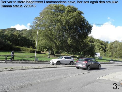 Det gamle træ II 003