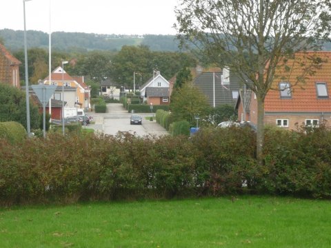 Den grønne plæne