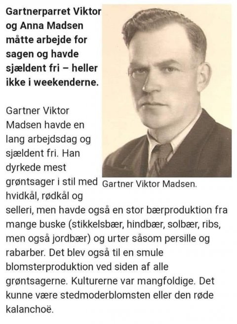 Viktor Madsen